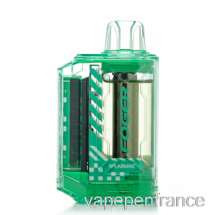 Stylo Vape Jetable à La Menthe Verte Foger CT10000